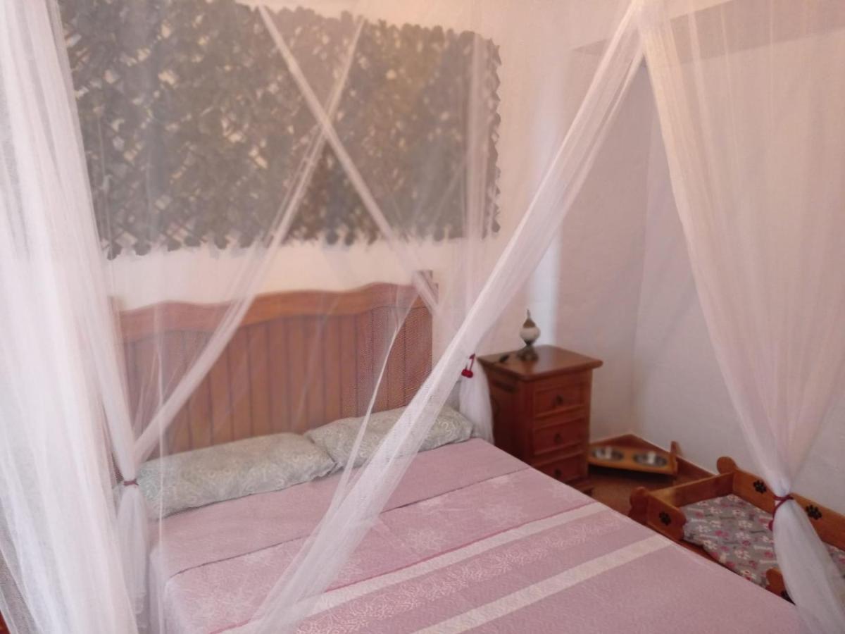Apartament Mascotas 2 Benaocaz Zewnętrze zdjęcie